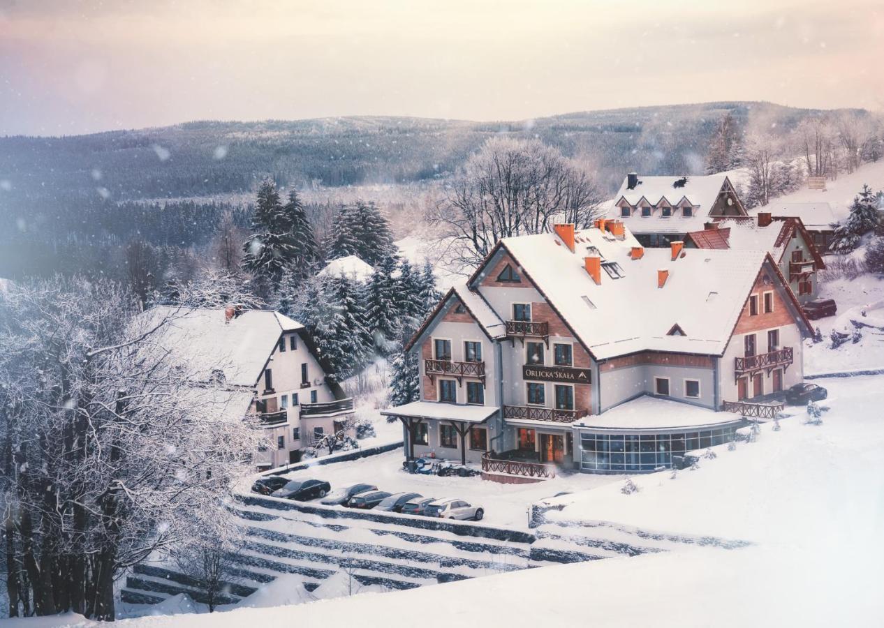 Orlicka Skala Bed & Breakfast Zieleniec  Exterior photo